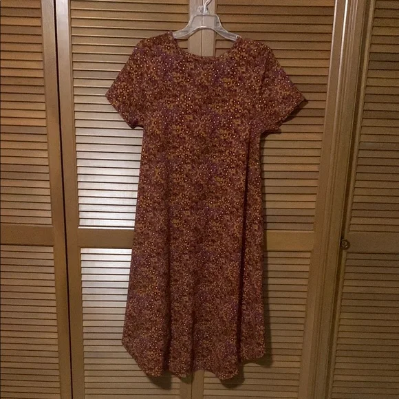 LuLaRoe Burnt Orange Dress Medium M - Picture 2 of 4